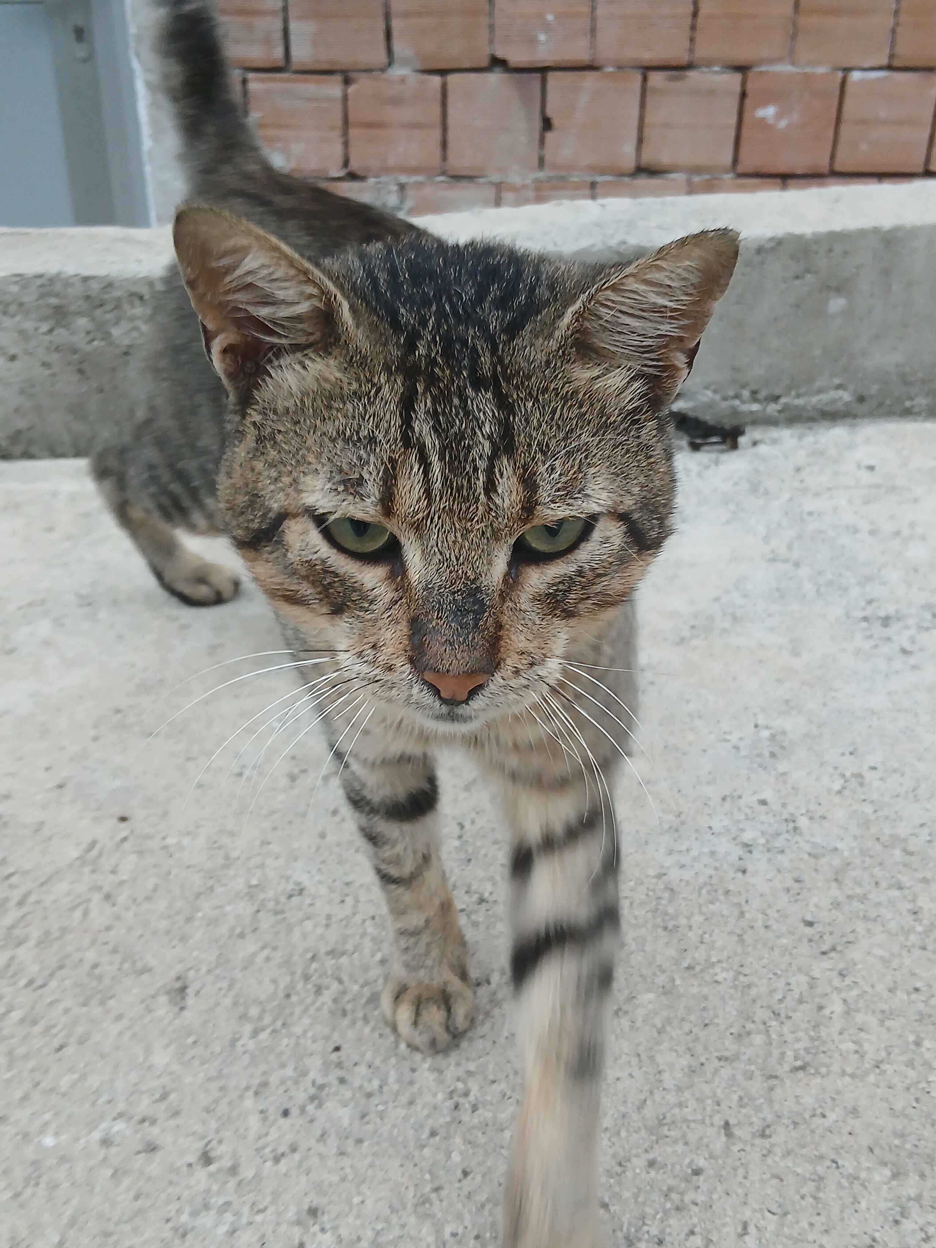 Ürün Görseli