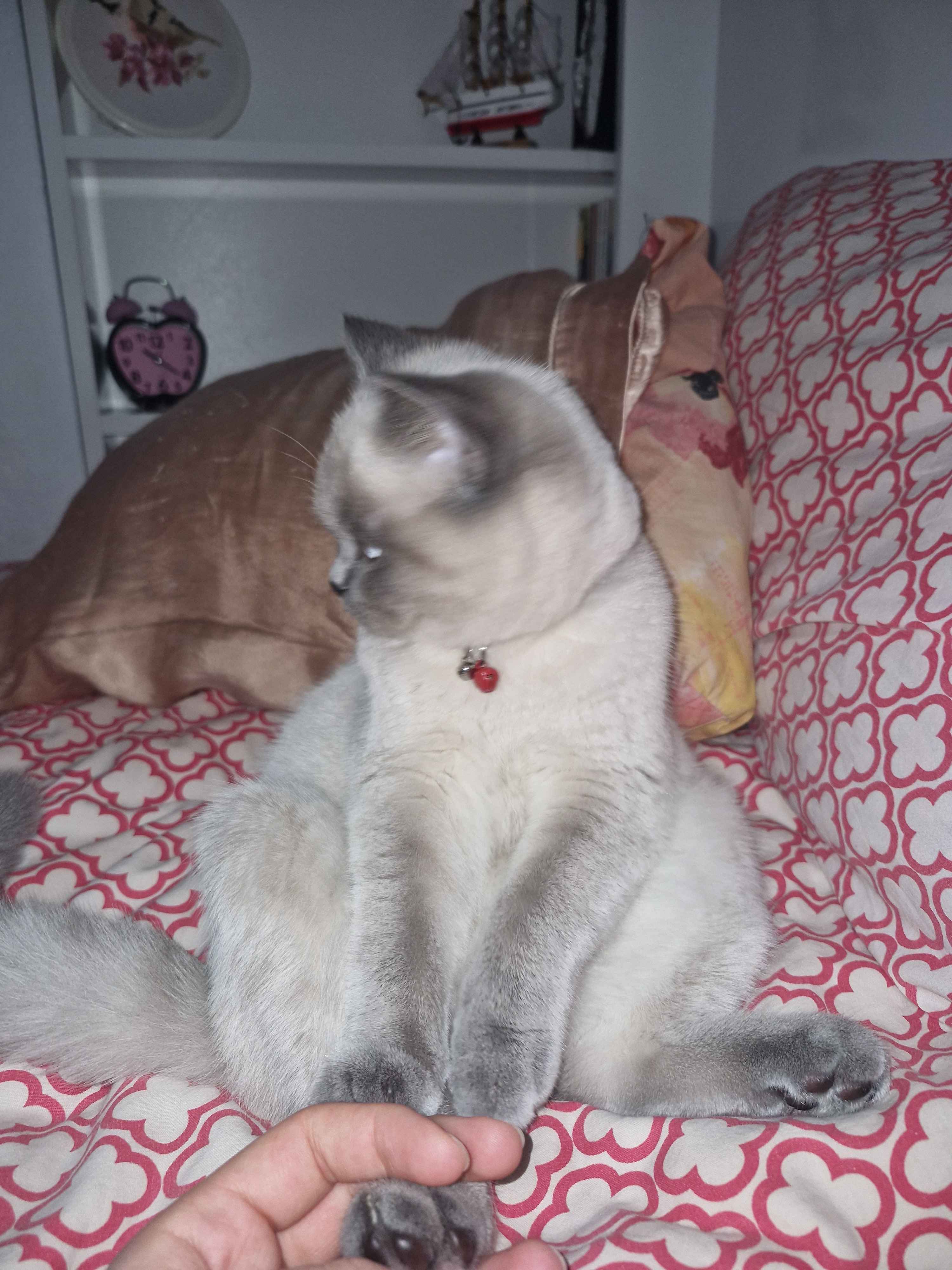 Ürün Görseli