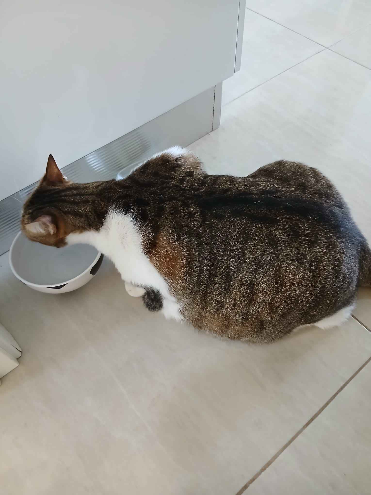 Ürün Görseli