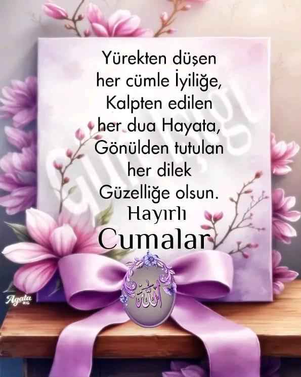 Ürün Görseli