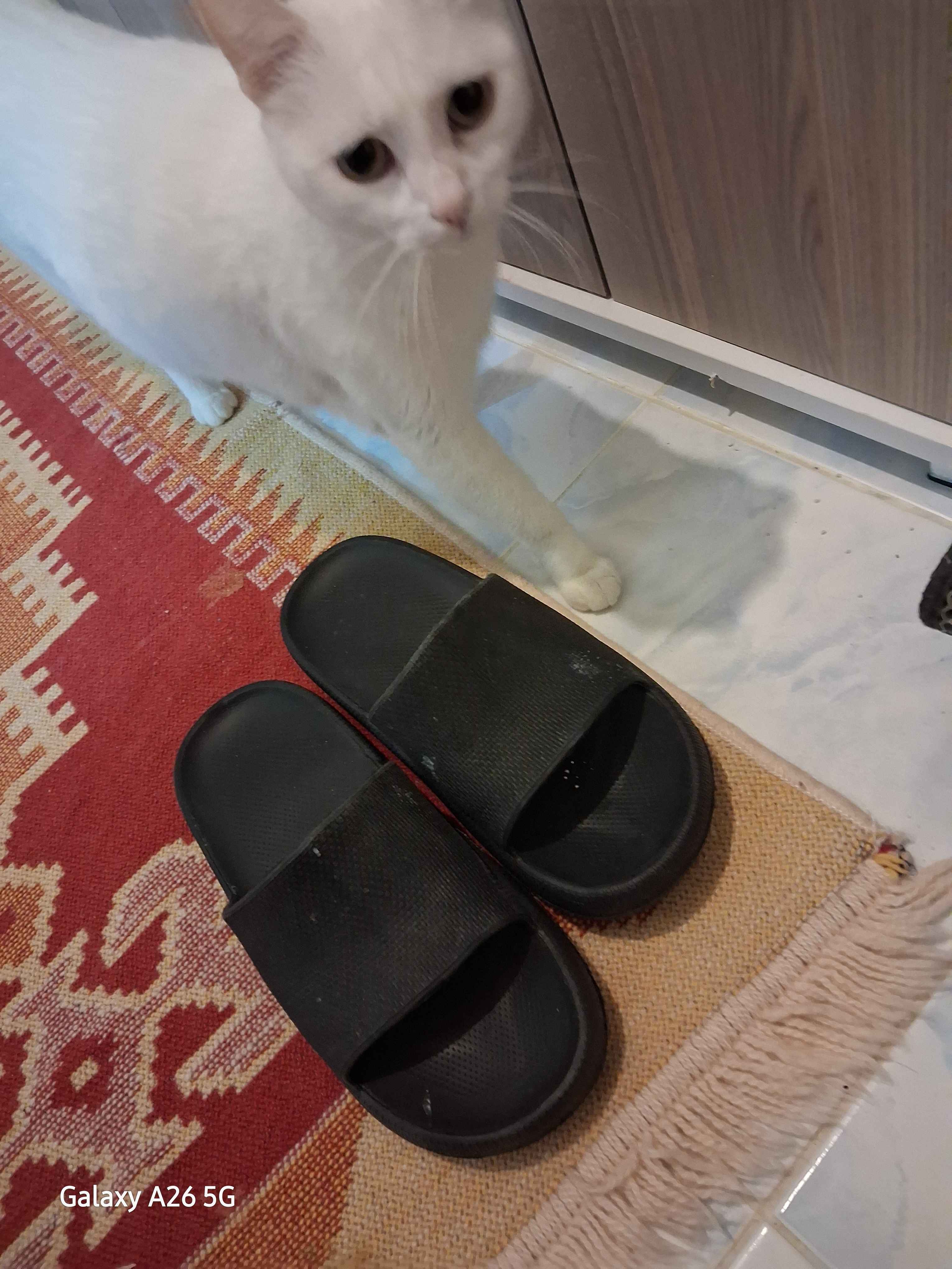 Ürün Görseli