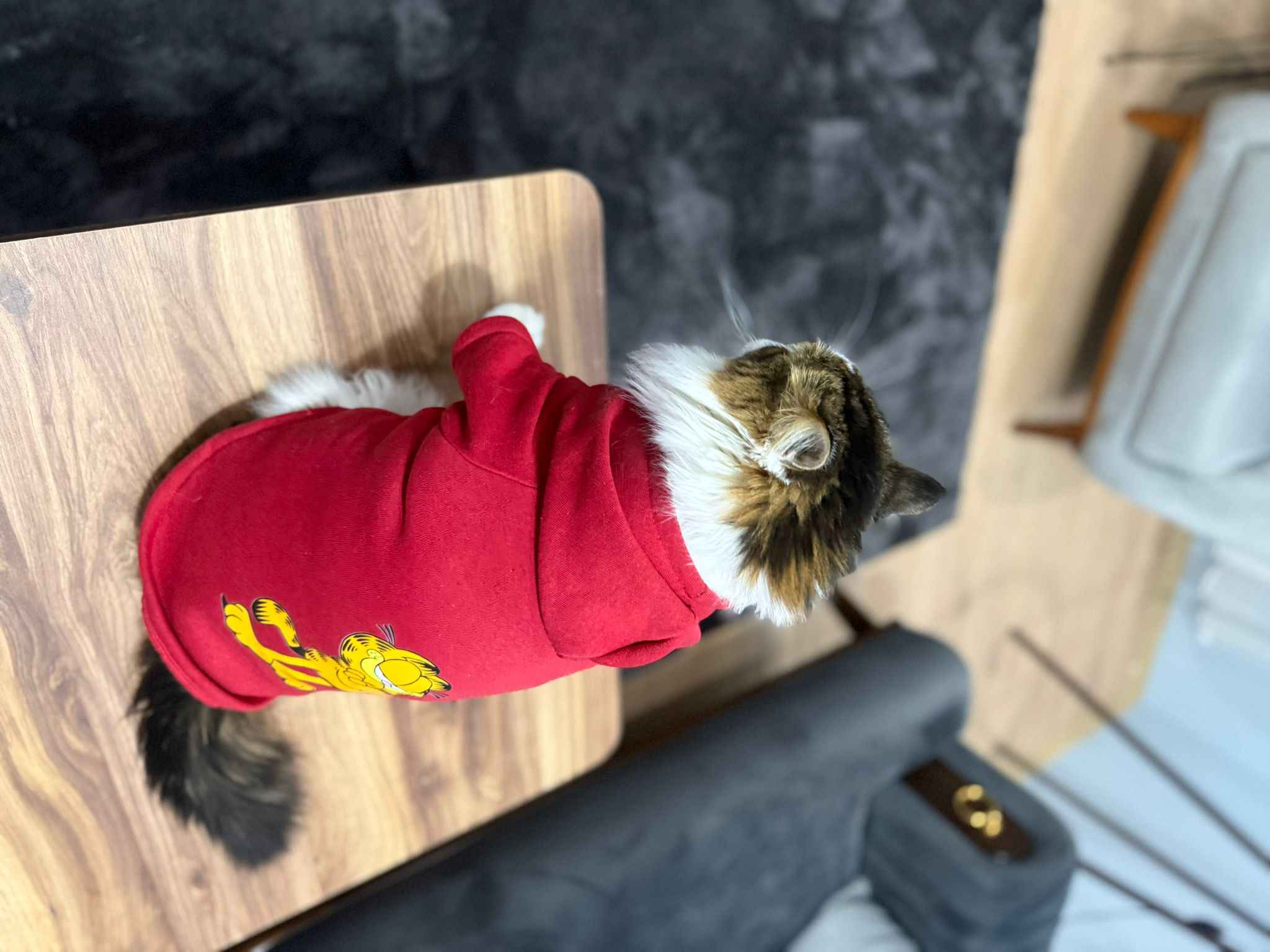 Ürün Görseli