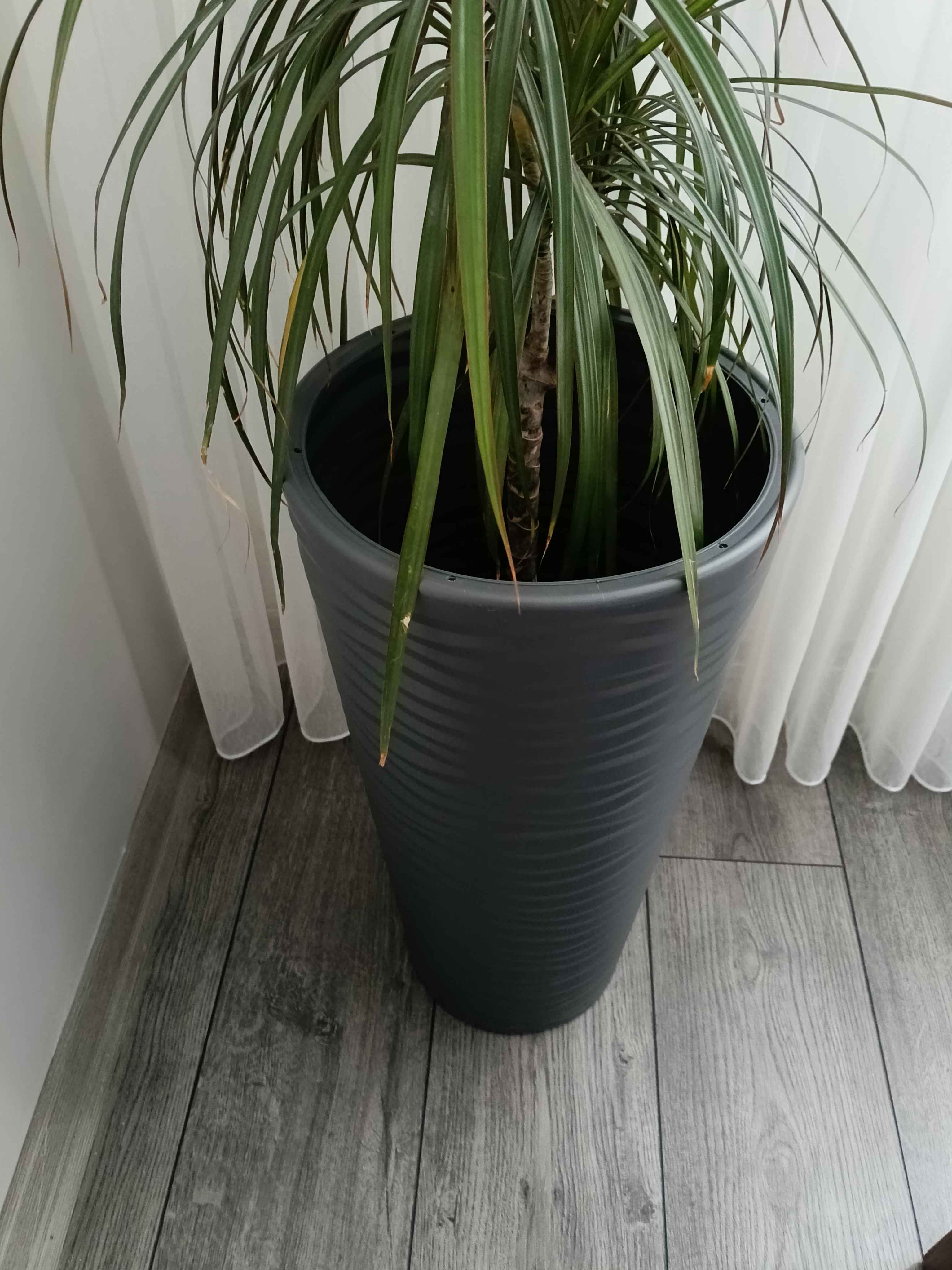 Ürün Görseli