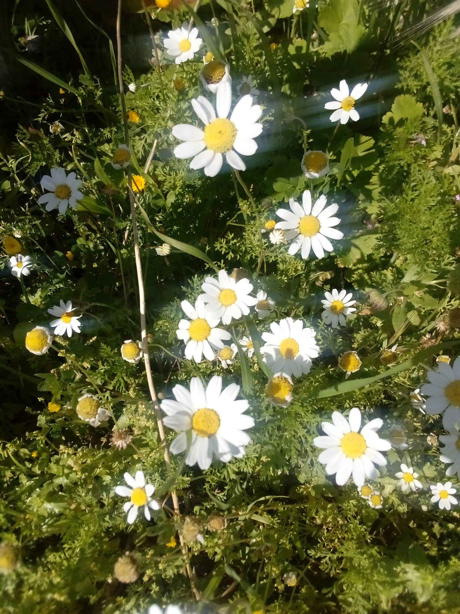 Ürün Görseli