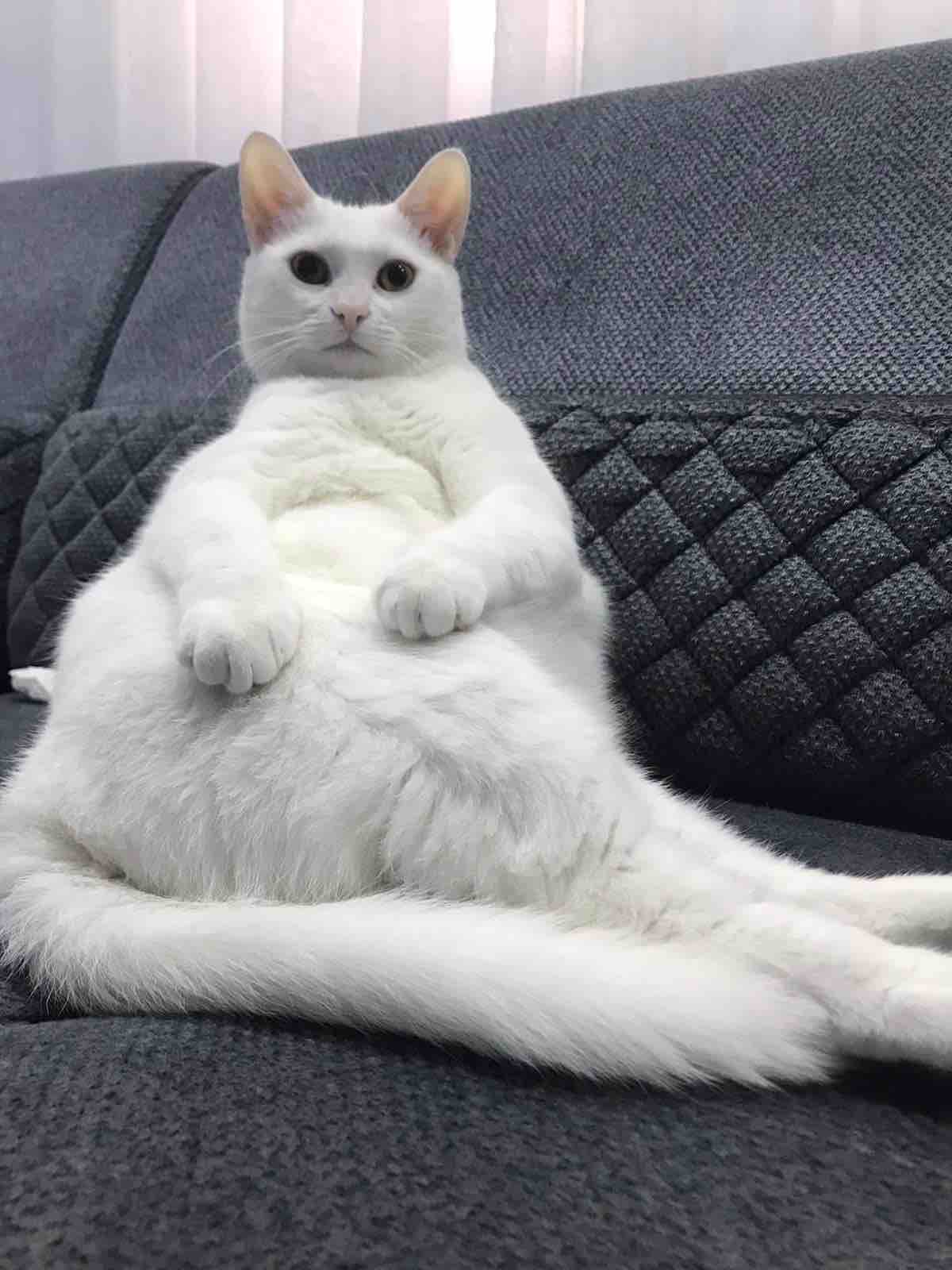 Ürün Görseli