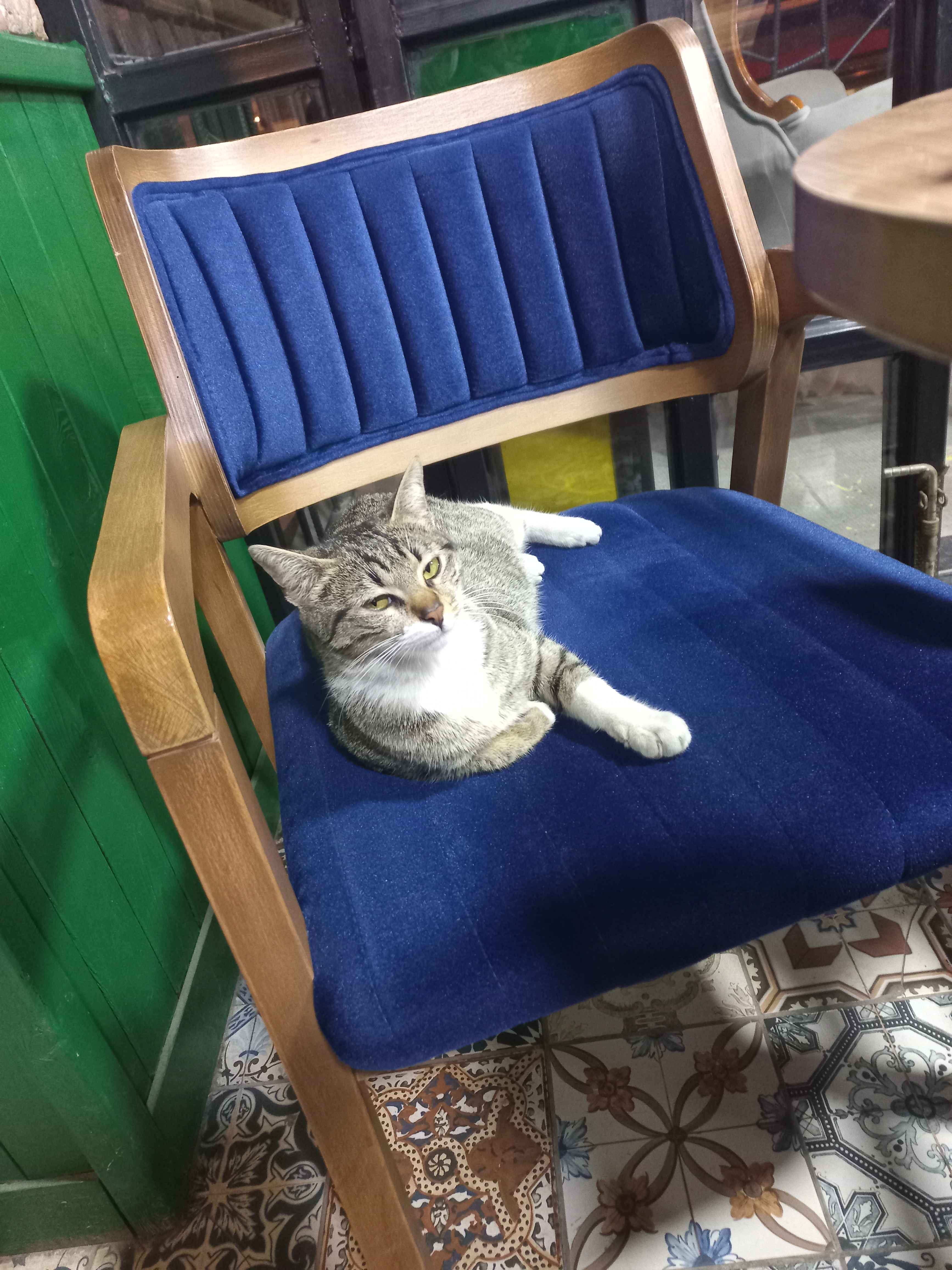 Ürün Görseli
