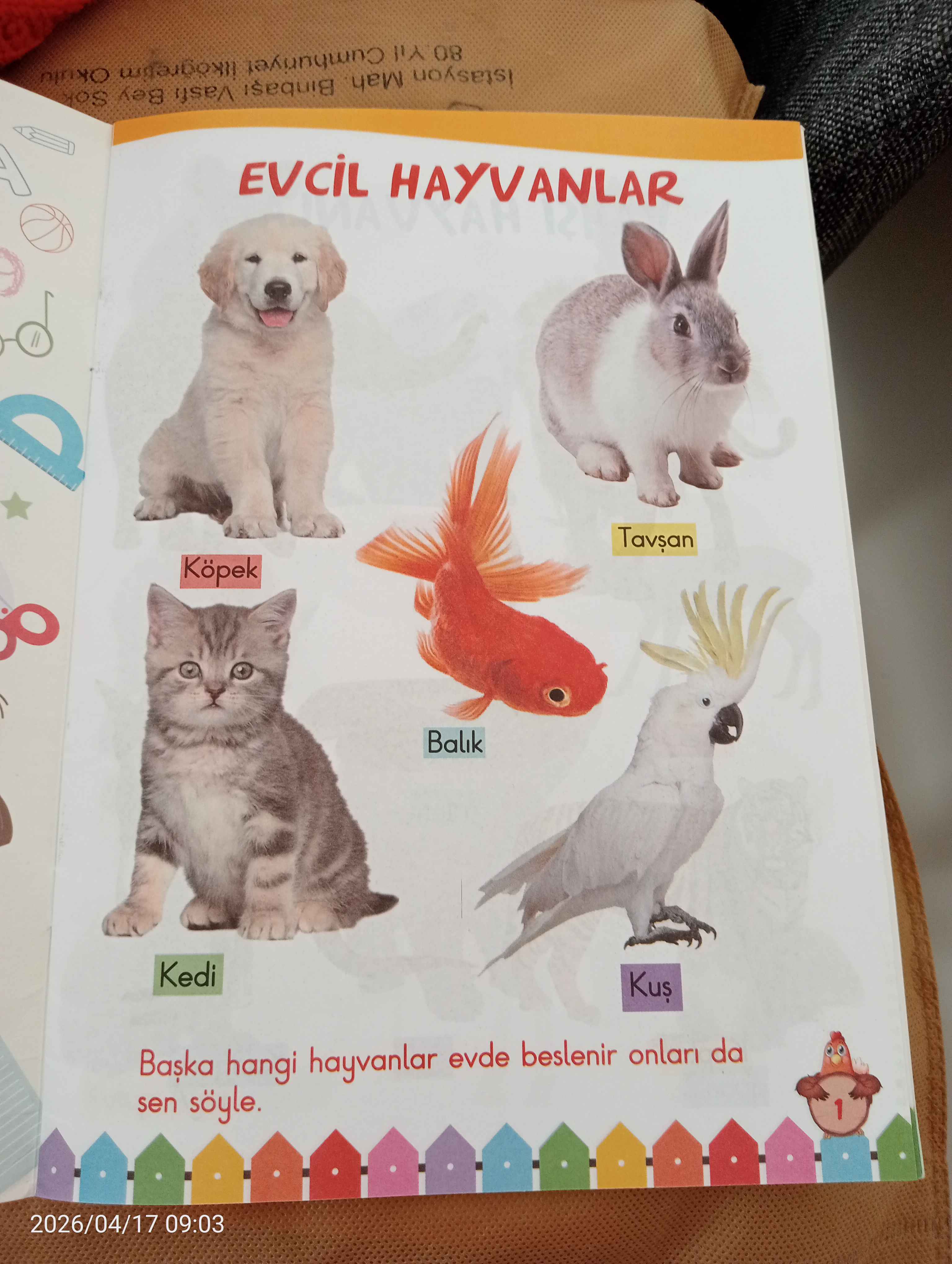Ürün Görseli