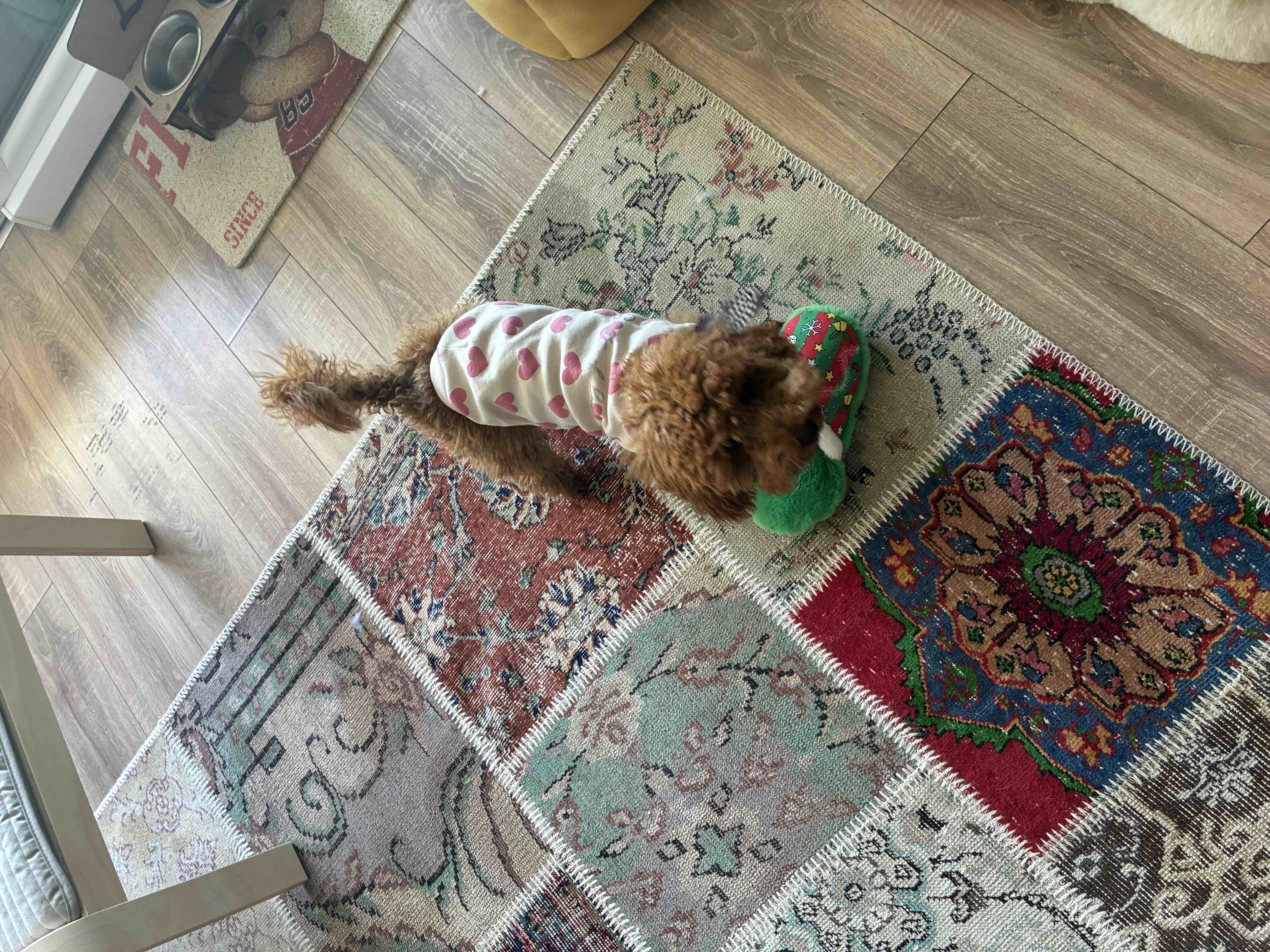 Ürün Görseli