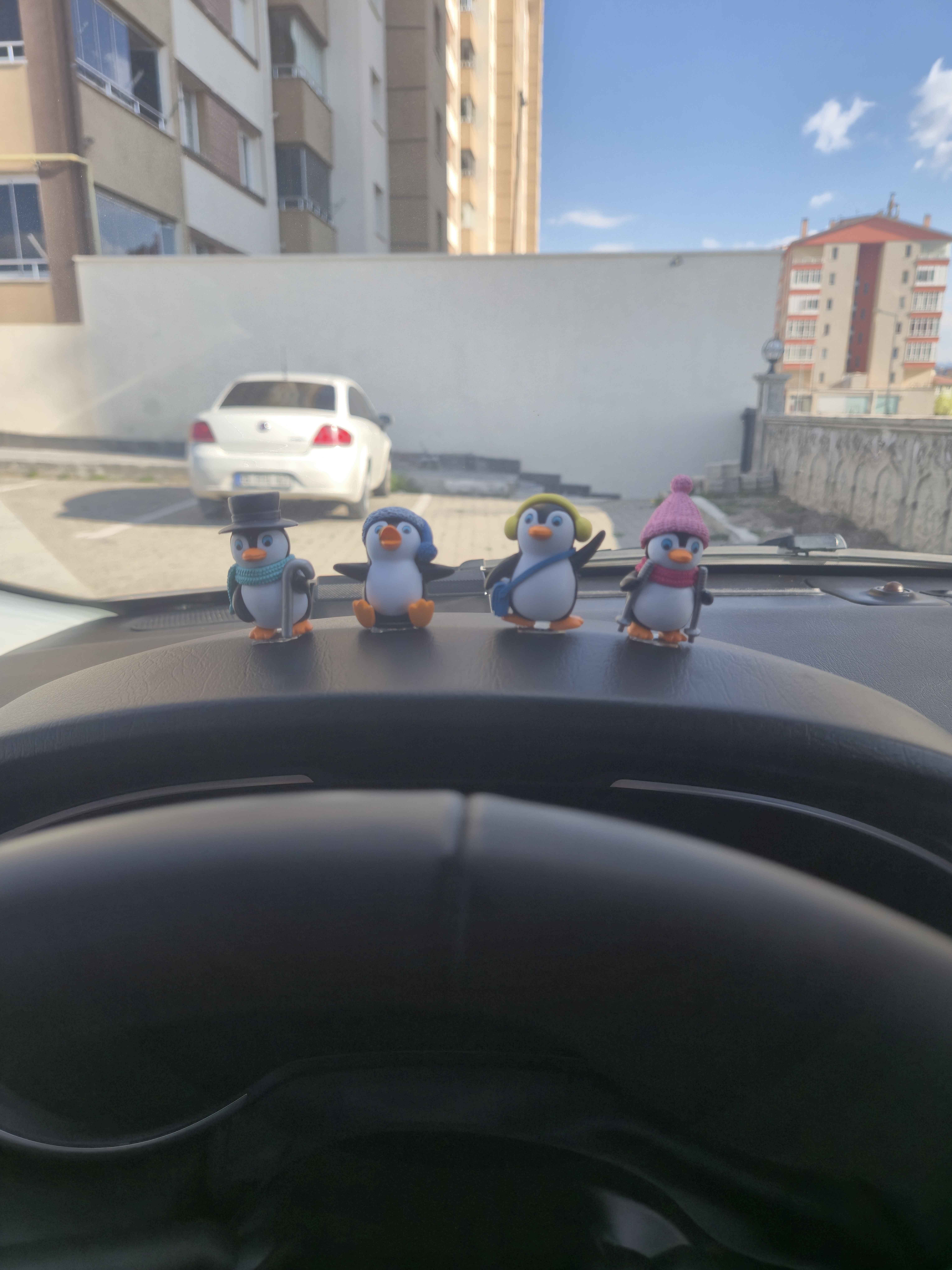 Ürün Görseli