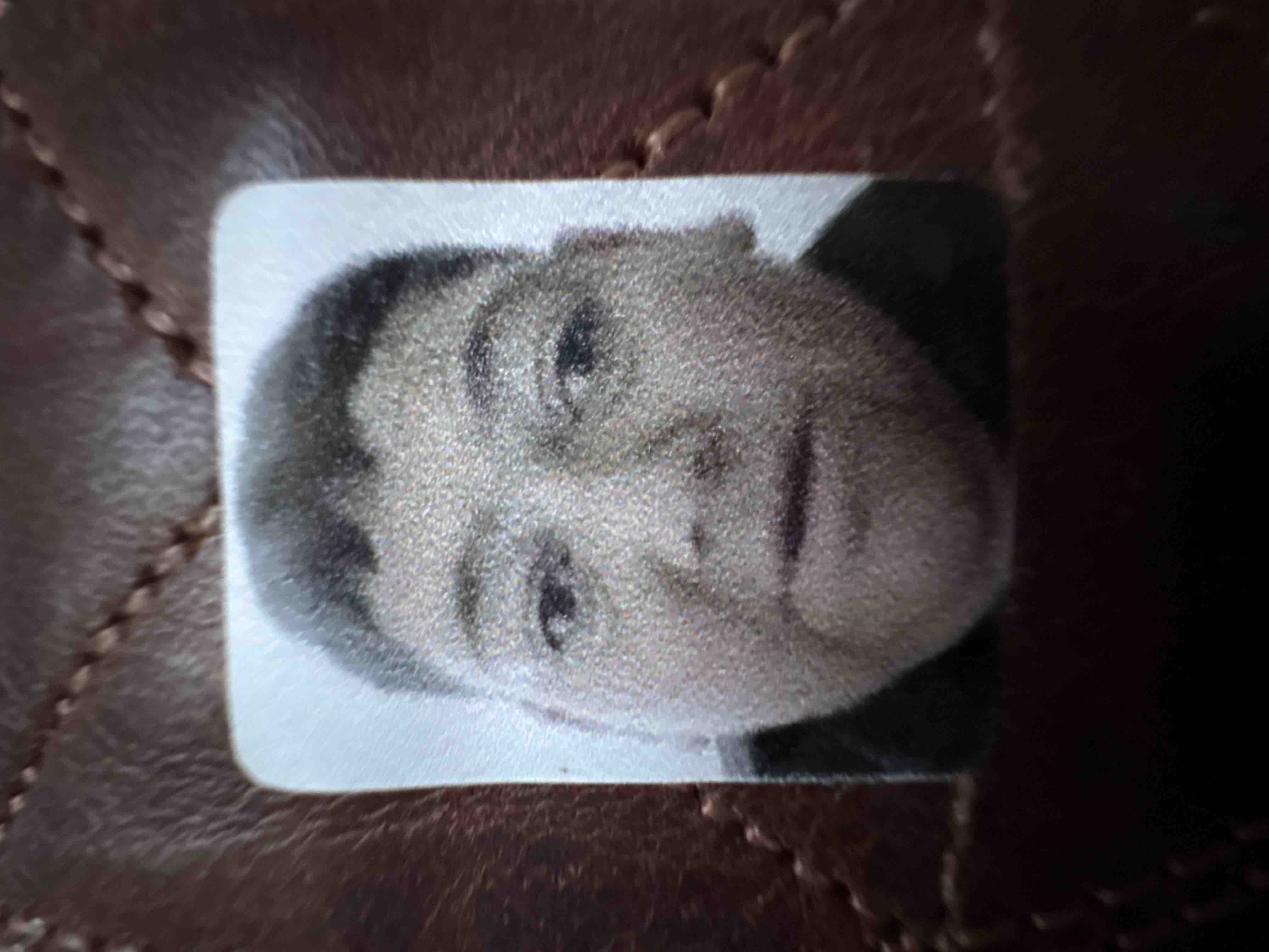 Ürün Görseli