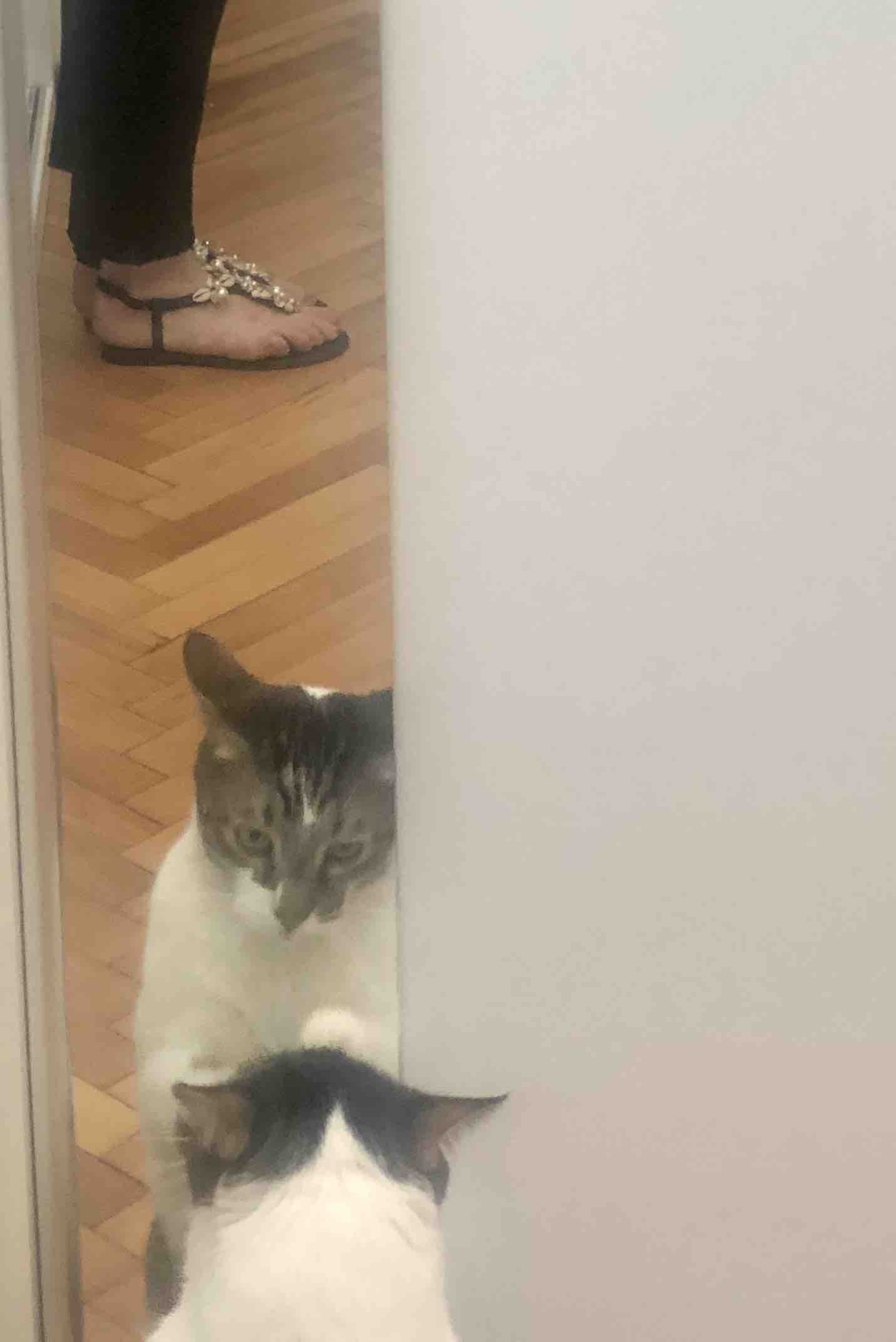Ürün Görseli