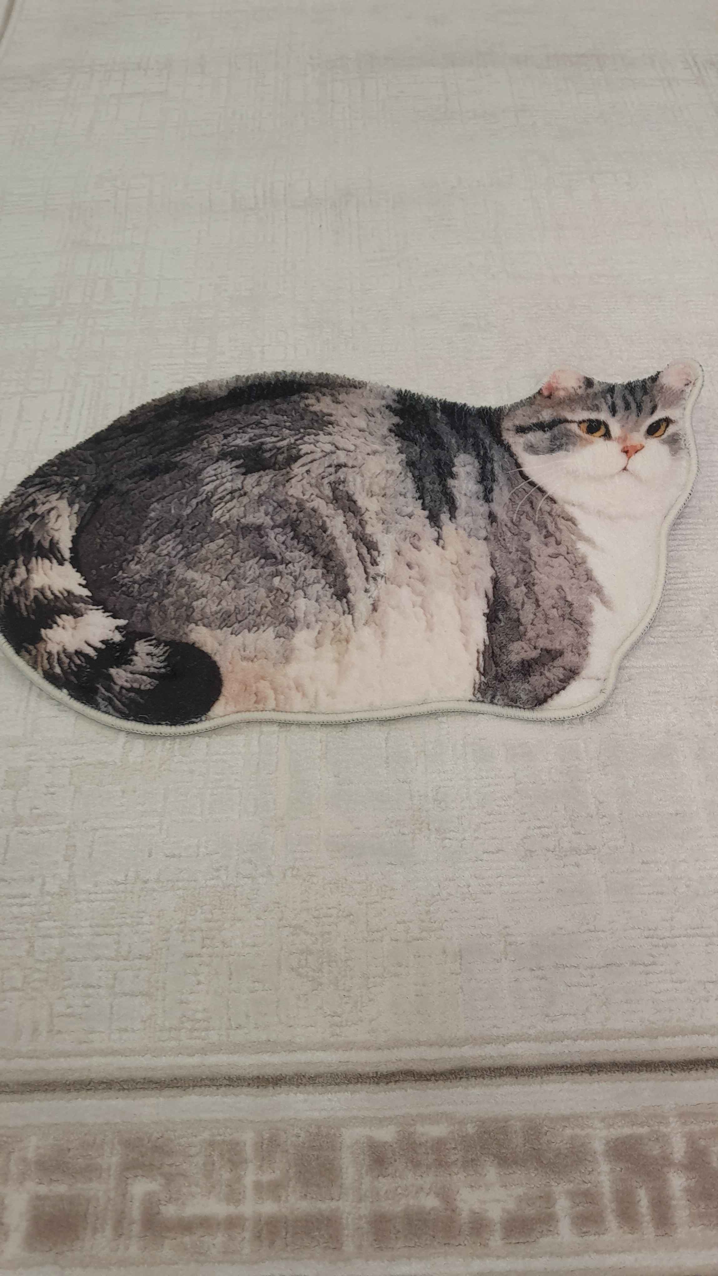 Ürün Görseli