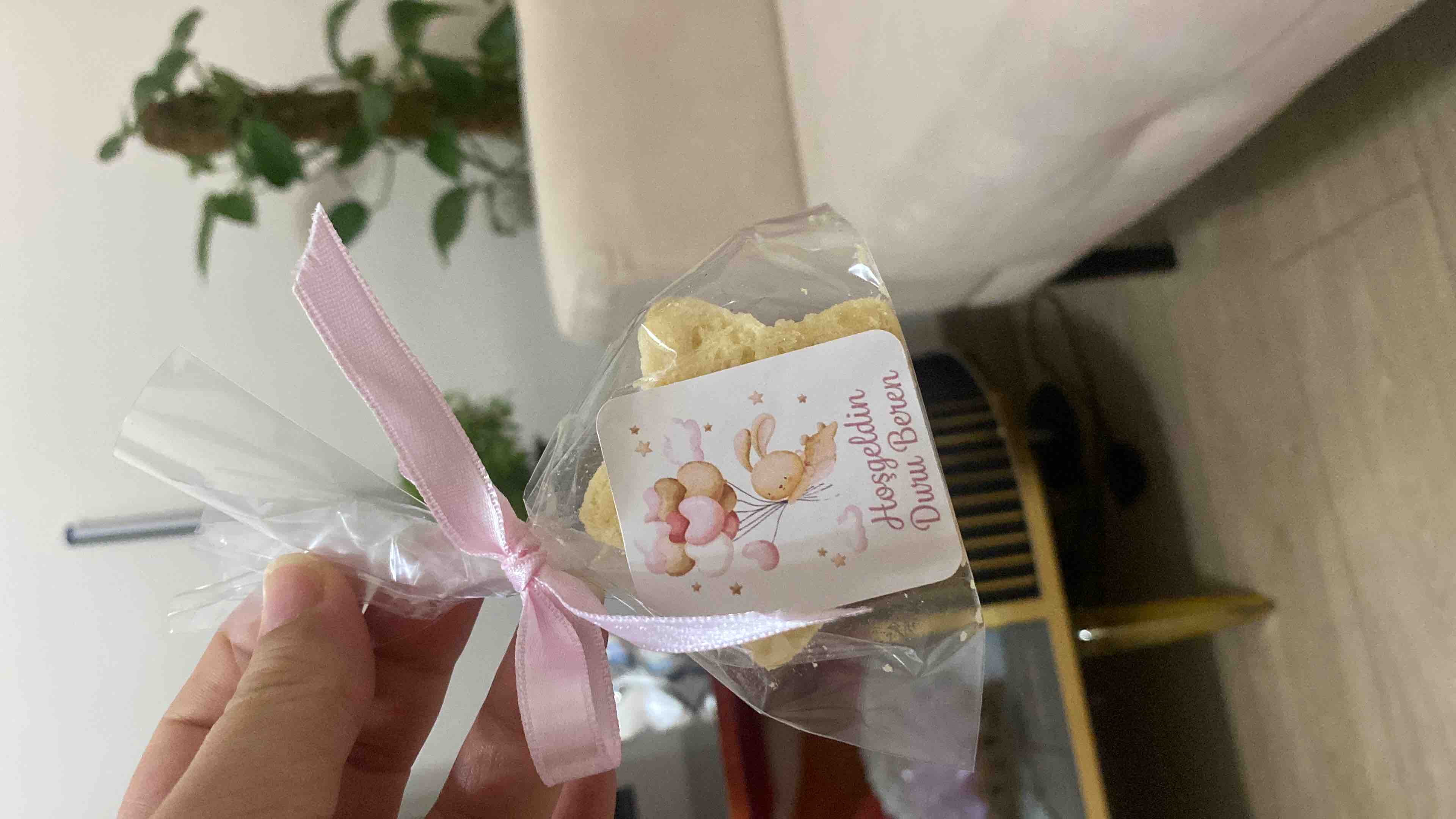 Ürün Görseli
