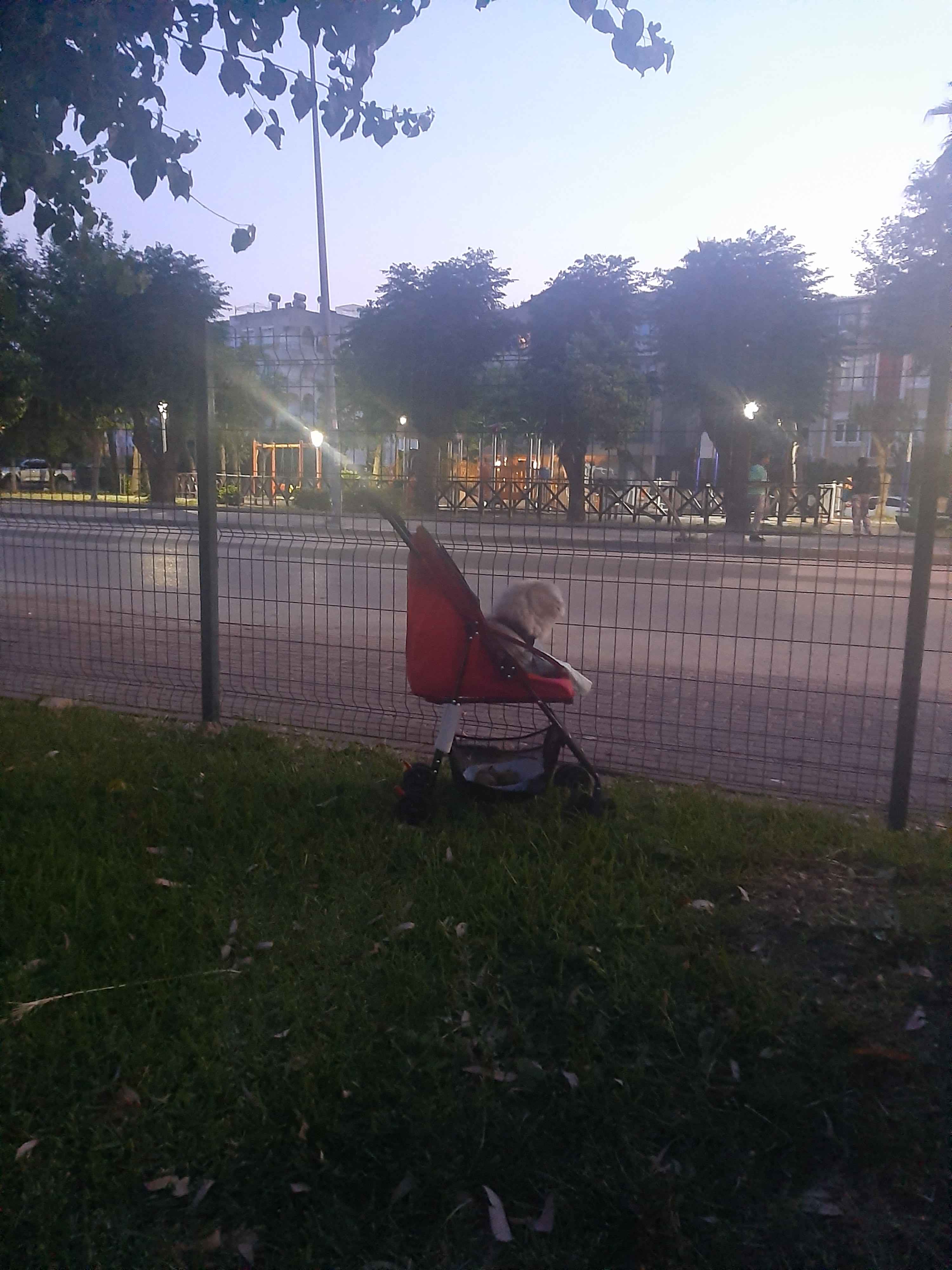 Ürün Görseli