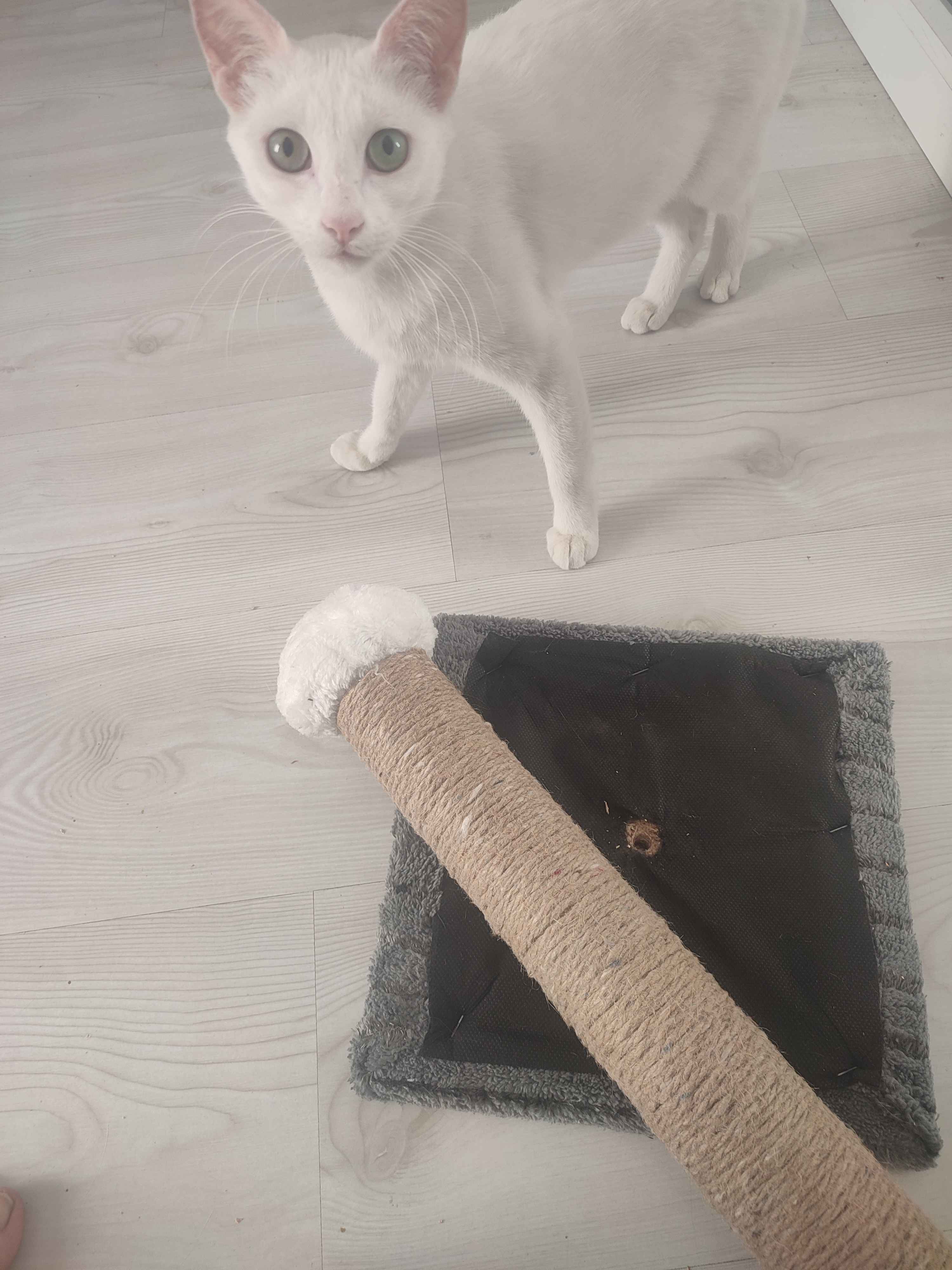 Ürün Görseli