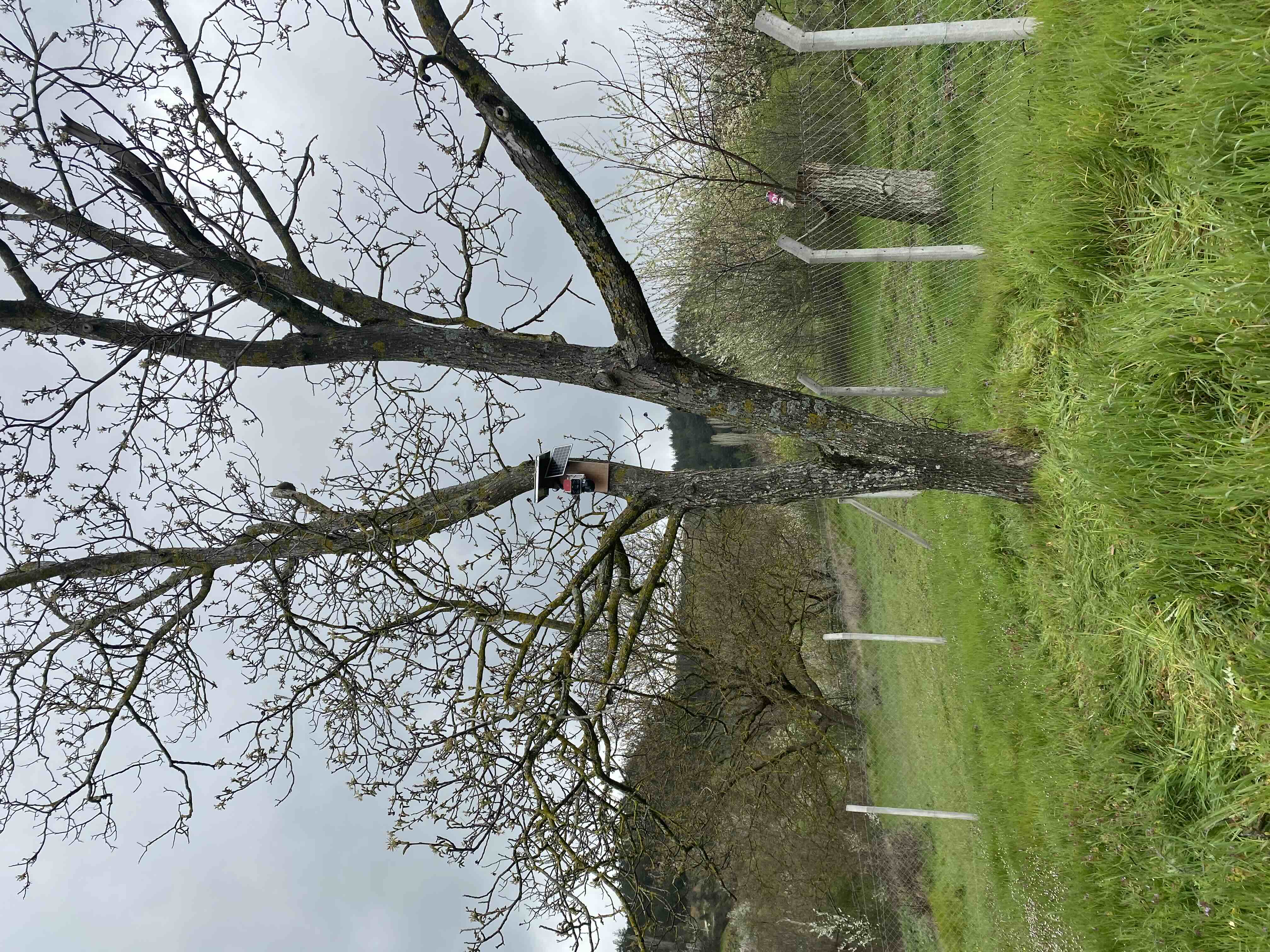 Ürün Görseli