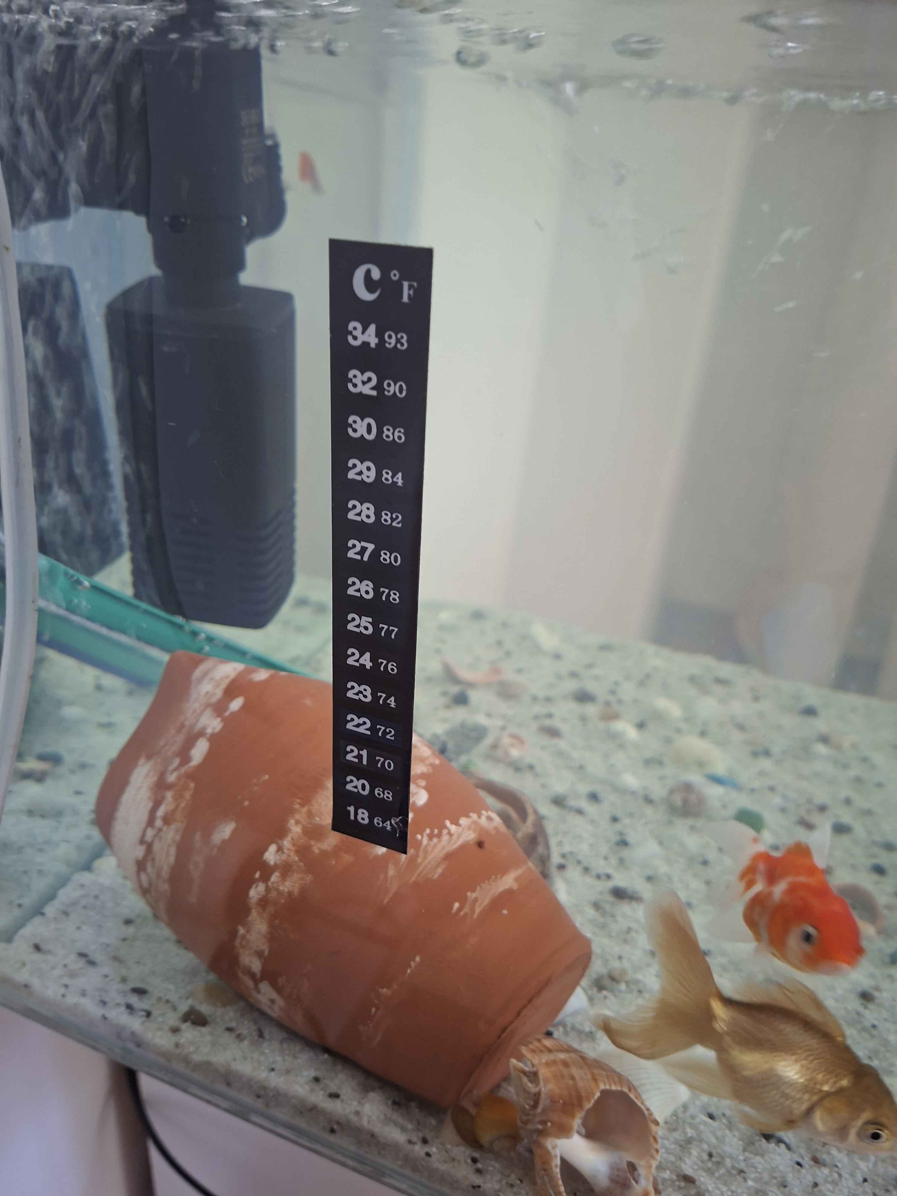 Ürün Görseli
