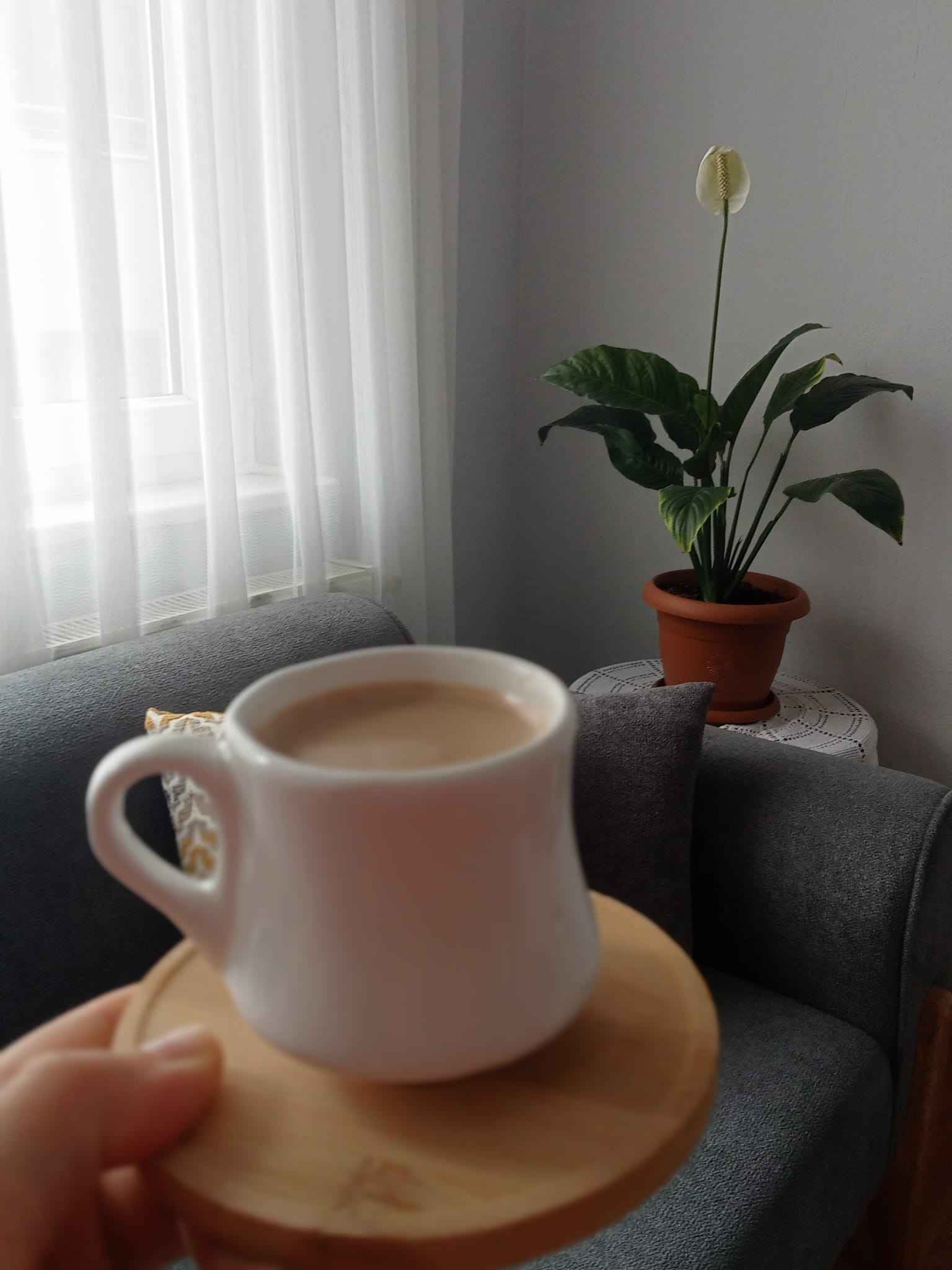 Ürün Görseli