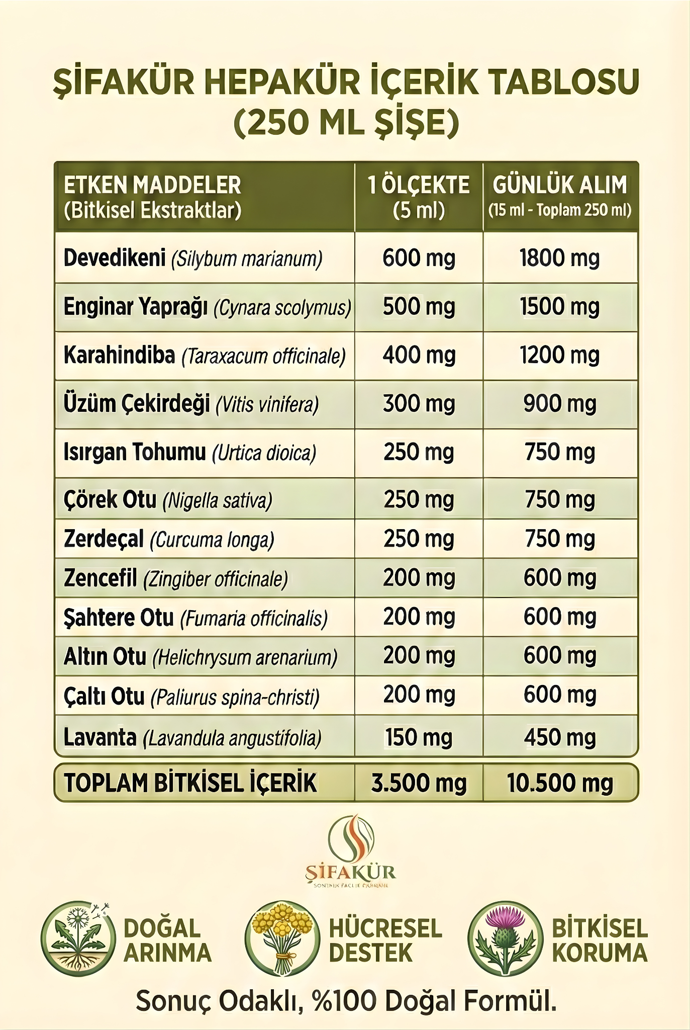 Enerji ve Besin Değerleri