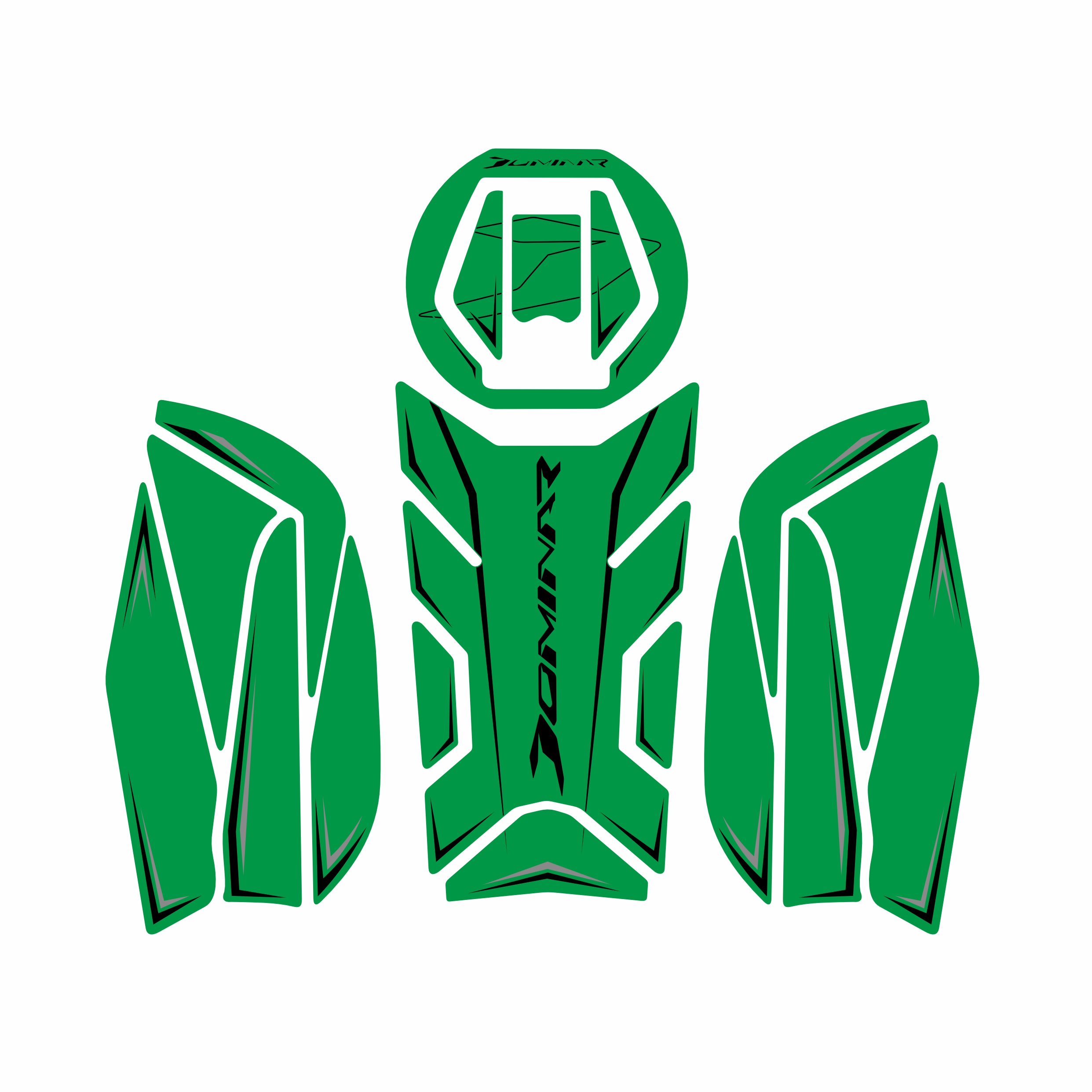 BAJAJ DOMiNAR 250 2020-2024 UYUMLU Tank Pad Set 007