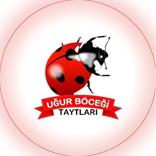 Uğur Böceği Taytları