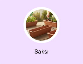 Saksı