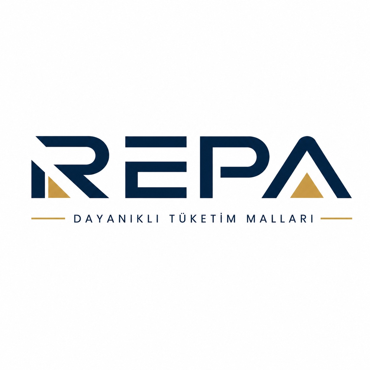 REPA DTM