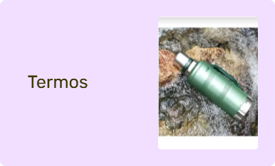 Termos
