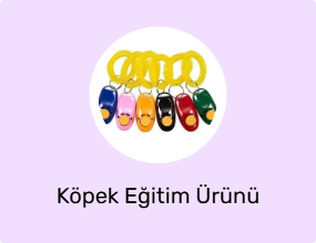 Köpek Eğitim Ürünü
