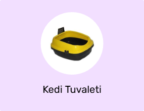 Kedi Tuvaleti