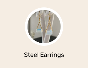 Steel Earrings