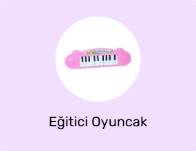 Eğitici Oyuncak