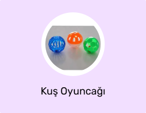 Kuş Oyuncağı