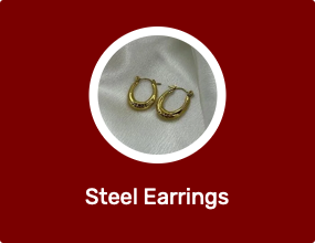 Steel Earrings