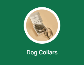 Dog Collars