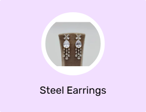 Steel Earrings
