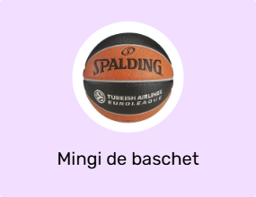 Mingi de baschet