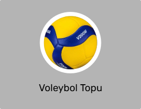Voleybol Topu