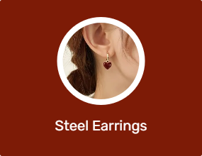 Steel Earrings
