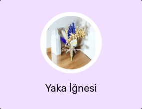 Yaka İğnesi