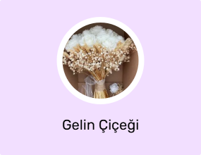 Gelin Çiçeği
