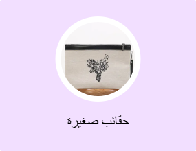 حقائب صغيرة