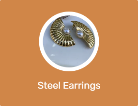 Steel Earrings