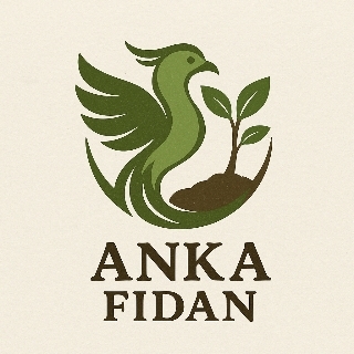 ANKA FİDAN