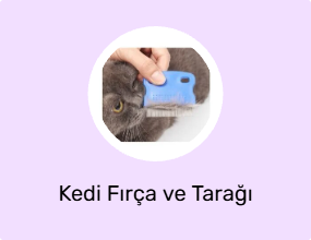 Kedi Fırça ve Tarağı