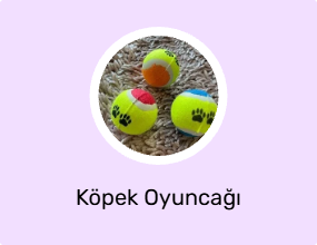 Köpek Oyuncağı