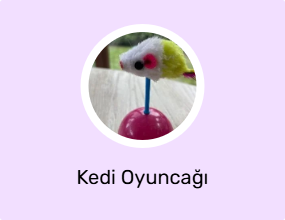 Kedi Oyuncağı