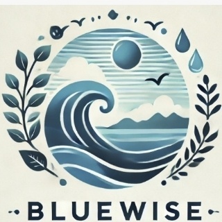 BlueWise Teknoloji