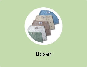 Boxer