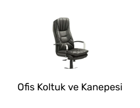 Ofis Koltuk ve Kanepesi